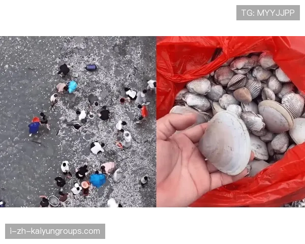 台风促进海洋生态，惠州海鲜量激增，台风 惠州