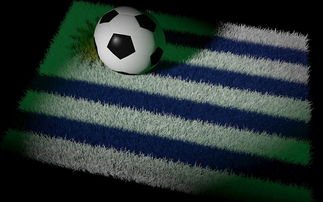 kaiyun中国官方网站-巴西足球队备战世界杯，状态火热，巴西足球 世界杯